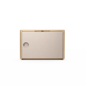 Bang and Olufsen BEOSOUND LEVEL (Gold) - Image 2