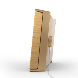 Bang and Olufsen BEOSOUND LEVEL (Gold) - Image 1