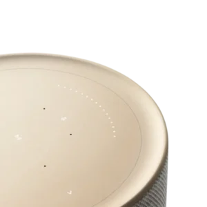 Bang and Olufsen Beosound Balance Natural Oak - Image 3