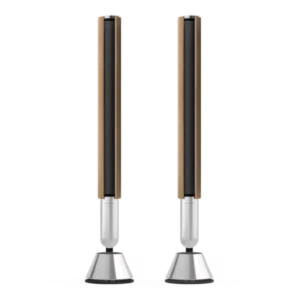 Bang and Olufsen BEOLAB 28 - Image 1