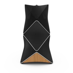 Bang and Olufsen BEOLAB 90 - Image 3